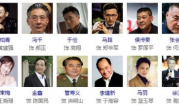 沉默电视剧演员表,揭秘幕后演员阵容，实力派齐聚演绎情感纠葛