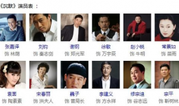 沉默电视剧演员表,揭秘幕后演员阵容，实力派齐聚演绎情感纠葛